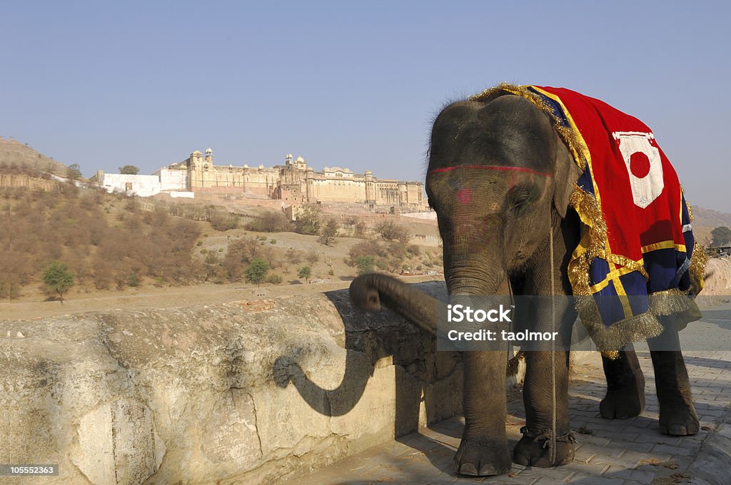 Elefante davanti Forte di jaigarh - Foto stock royalty-free di Ambientazione esterna