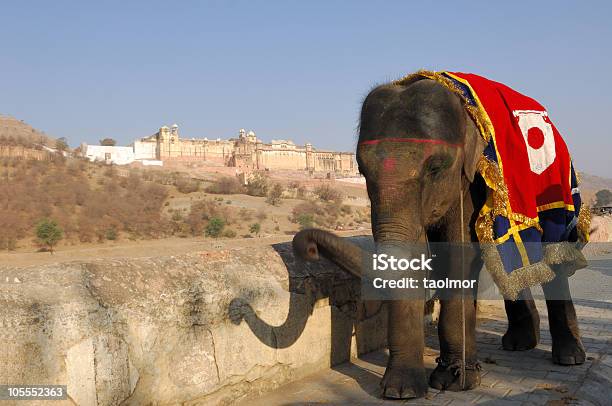Elefante Davanti Forte Di Jaigarh - Fotografie stock e altre immagini di Ambientazione esterna - Ambientazione esterna, Ambra, Antico - Condizione