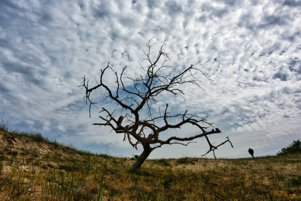istock waking in the loneliness 1055525600