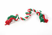 Holiday colored dog toy