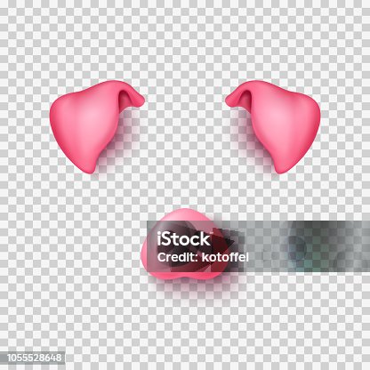 istock Realistic 3d pig nose and ears 1055528648