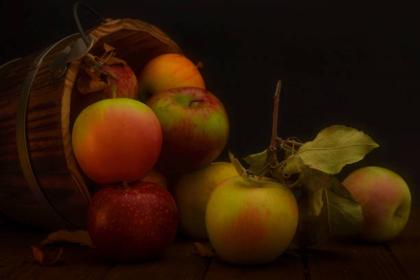 istock Bucket of assorted apples turned over 1055529092