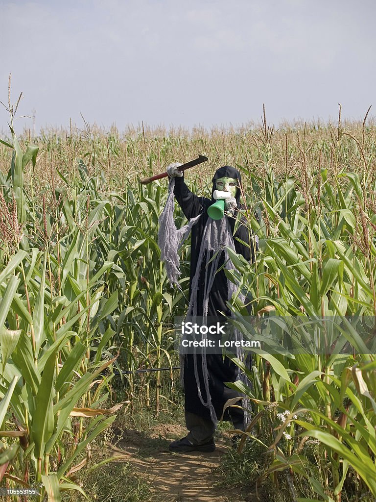 Reaper en el campo de maíz - Foto de stock de Aire libre libre de derechos