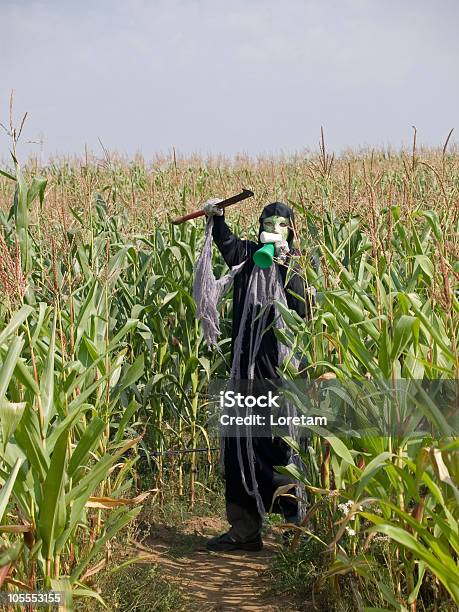 Reaper No Campo De Milho - Fotografias de stock e mais imagens de A Morte - A Morte, Ao Ar Livre, Assustador