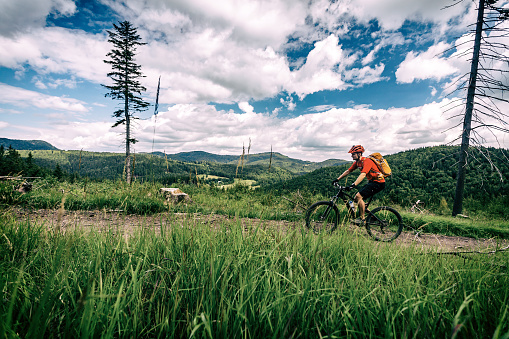 Mountain biking man riding on bike in summer inspirational landscape. Bikepacking, cycling on enduro trail. Sport fitness motivation and inspiration. MTB Rider mountain biker in summer woods.