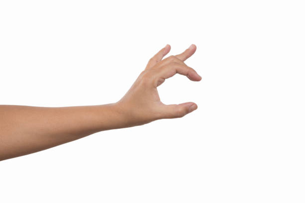 istock Human hand holding something on white background 1055535102