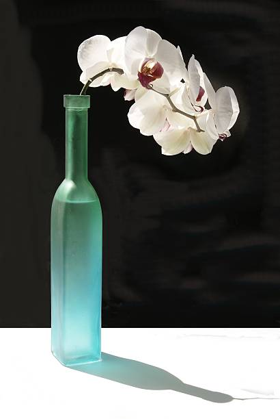 istock white and purple orchid in green bottle 105553578