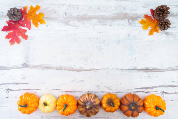istock holiday of Halloween pumpkin background frame 1055537242