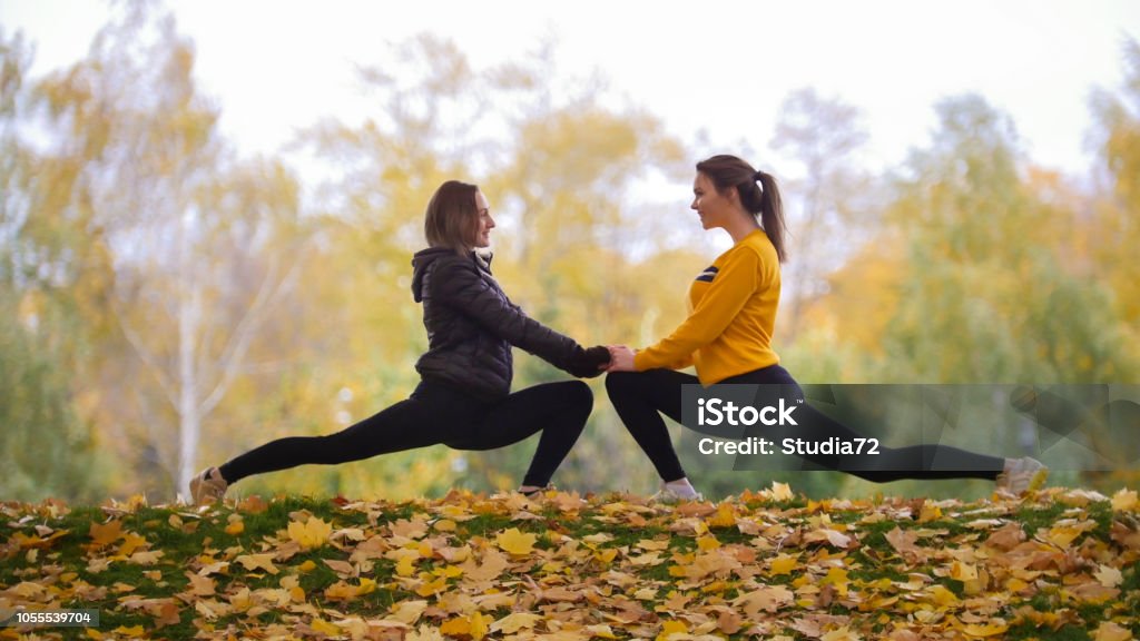 Girls warming up before training in park. Stretching towards each other. Smiling Girls warming up before training in park. Stretching towards each other. Smiling. Autumn Acrobat Stock Photo