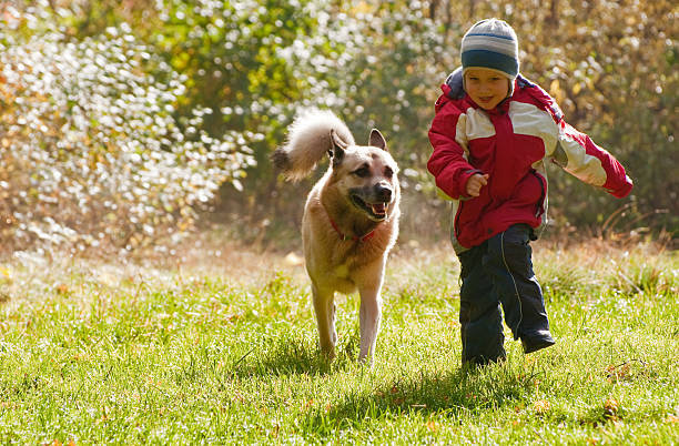 Smiling boy playing with tan-colored dog outdoors stock photo