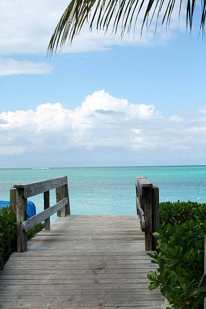 istock Pathway to Paradise in Turks and Caicos 105554083