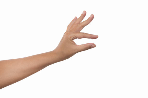 istock Hand showing size gesture isolated on white background. 1055543024