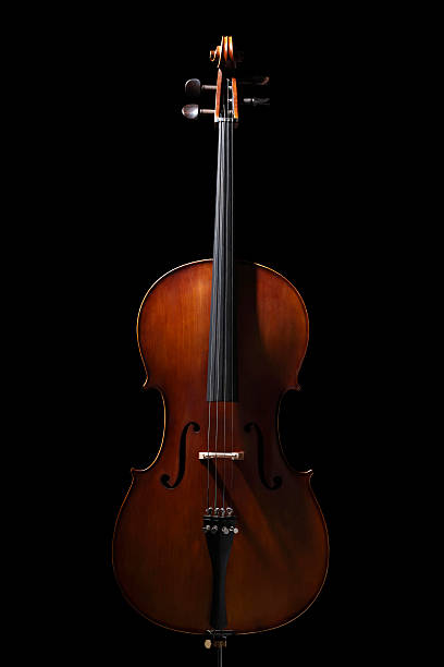 Cello  double bass stock pictures, royalty-free photos & images