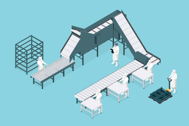 illustrazioni stock, clip art, cartoni animati e icone di tendenza di linea di processo nella fabbrica alimentare isometrica. industria alimentare. - alimentary