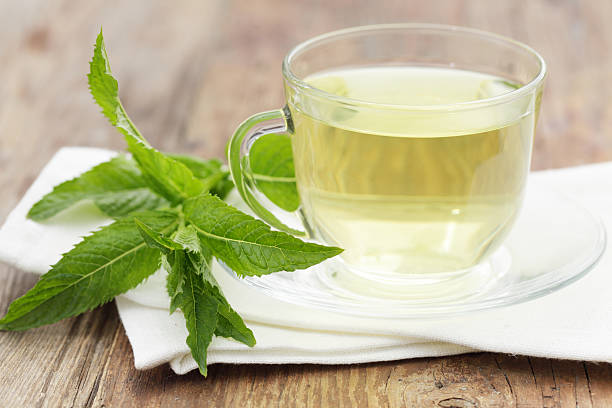istock Cup of mint tea displayed on wooden counter with fresh mint 105554840
