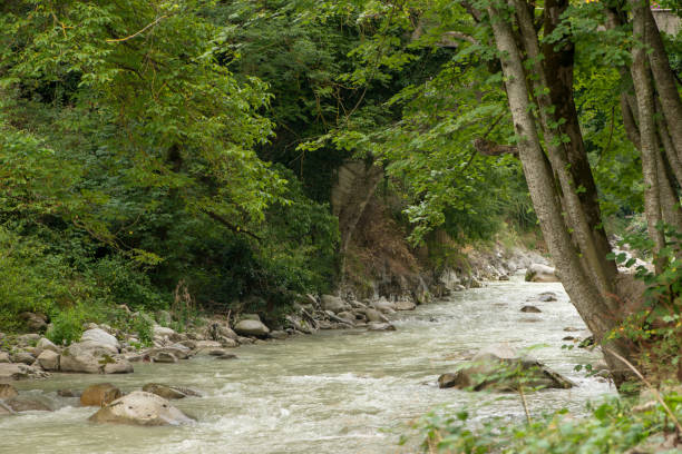 istock The valley of Aran in the Pyrenees, Lleida 1055548628