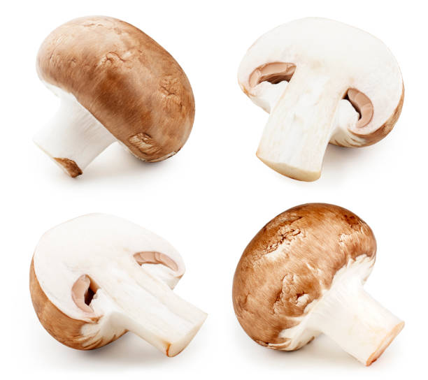 istock Champignon mushrooms close-up isolated on white background 1055550454
