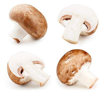 Champignon mushrooms close-up isolated on white background.