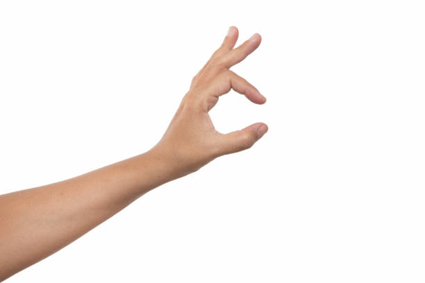 istock Hand showing size gesture isolated on white background. 1055550494