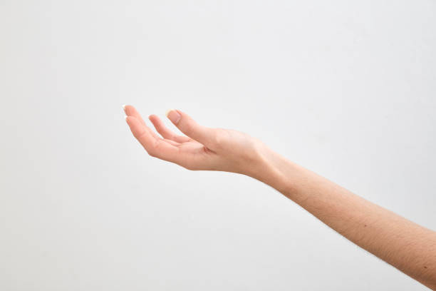 istock Close up of beautiful woman's hand  on white background 1055552842