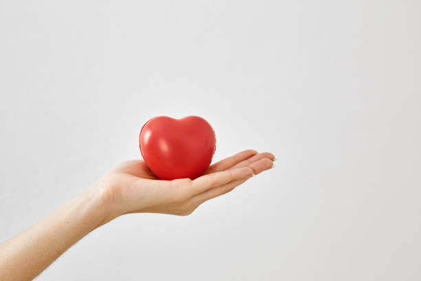 close up of woman hands holding red heart shape - proof of love imagens e fotografias de stock