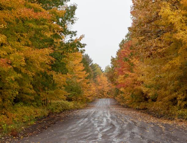 istock Beautiful Autumn trees along a country road 1055556698