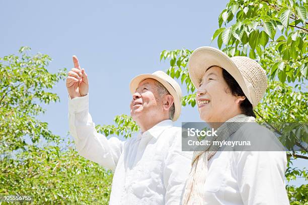 Photo libre de droit de Senior Japonais banque d'images et plus d'images libres de droit de Couple senior - Couple senior, Japon, Japonais