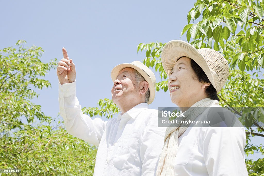 Two Asian seniors wearing hats looking upwards Pointing to an elderly couple Senior Couple Stock Photo