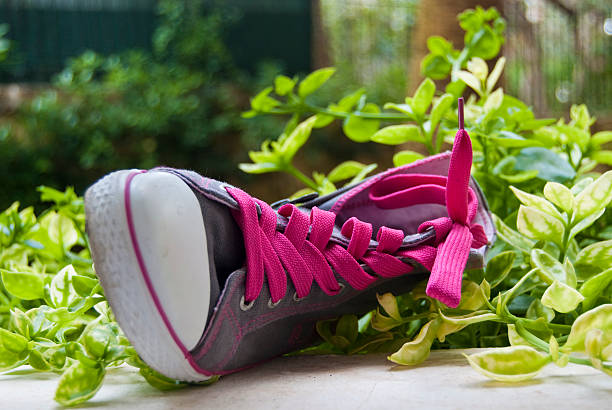 istock Fancy sneaker with the pink laces in green grass 105556960