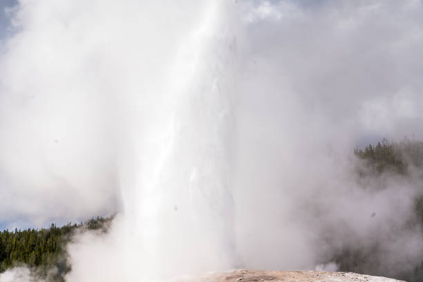 erupção no parque nacional amarelo pedra - reliability old old faithful famous place - fotografias e filmes do acervo