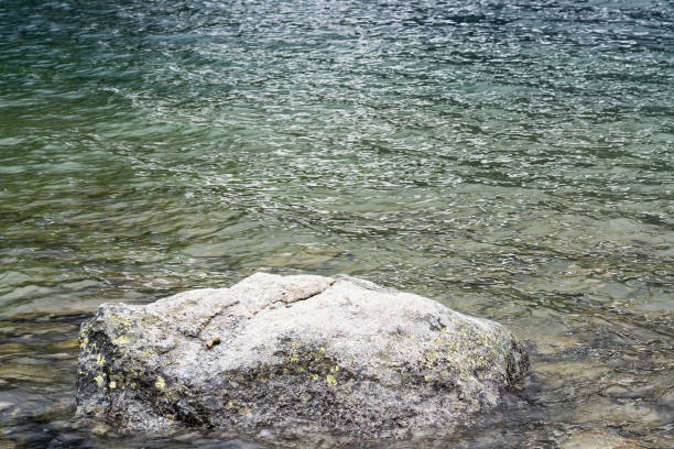 istock wet stone by lake shore 1055583304