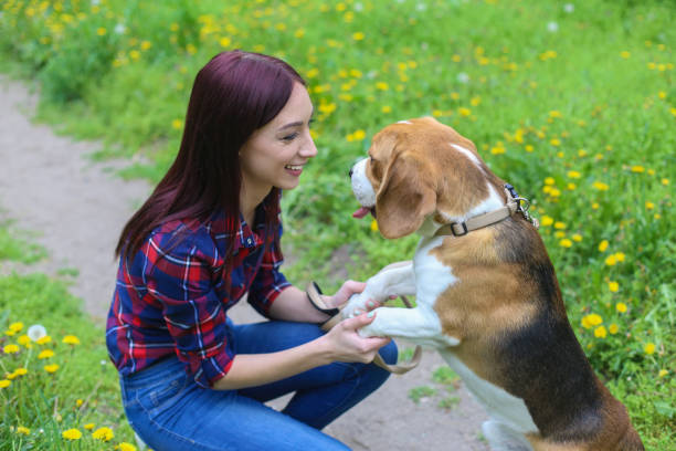 istock Woman having fun with her dog 1055583606