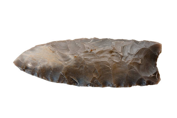 Clovis Point  flint stone stock pictures, royalty-free photos & images