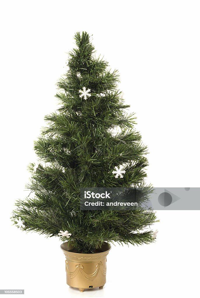 Undecorated árbol de navidad - Foto de stock de Árbol de navidad libre de derechos