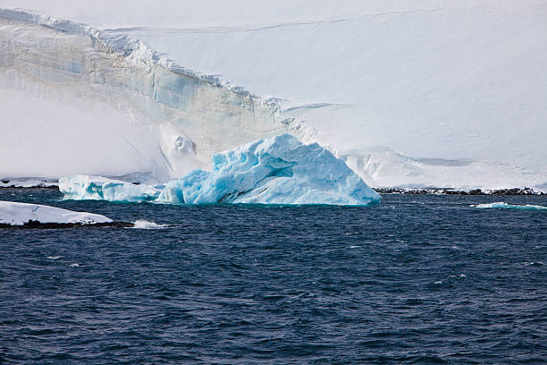 istock Iceberg, Paradise Bay , Antarctica 105558898