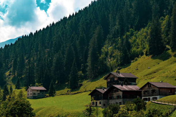 istock Steg, central Principality of Liechtenstein 1055590234