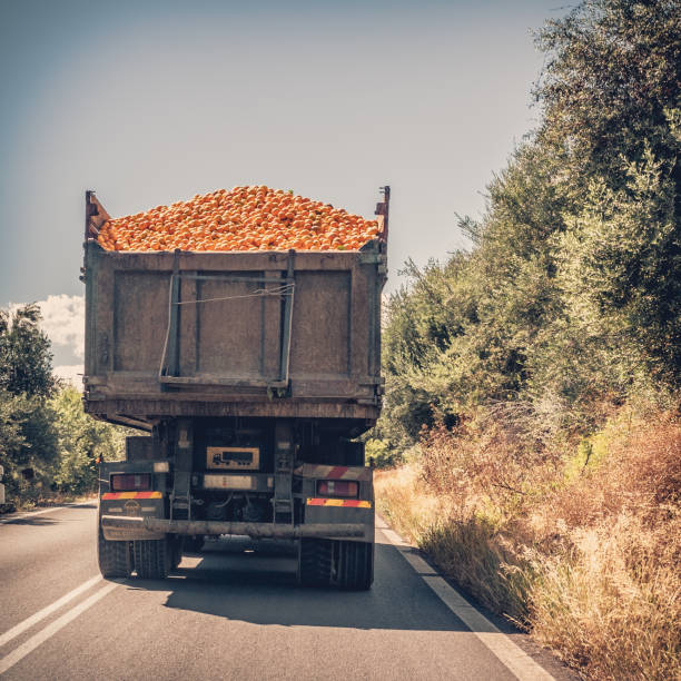 Oranges and truck
