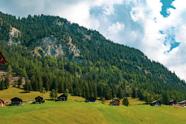 istock Steg, central Principality of Liechtenstein 1055601888