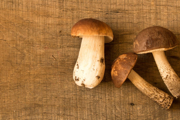 istock A boletus on an old oak table . Autumn. Mushroom picking 1055602286