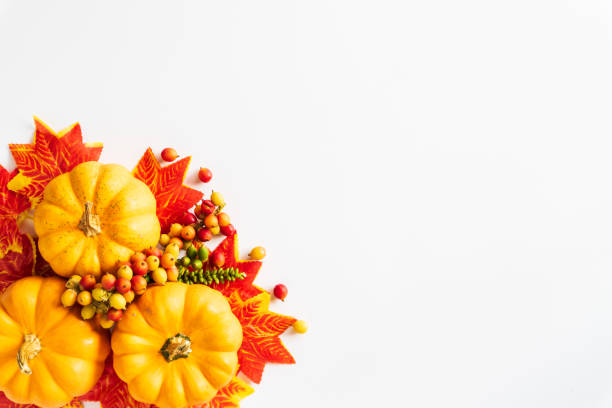 istock Autumn maple leaves and Pumpkin on white backgound. Thanksgiving day concept. 1055604888