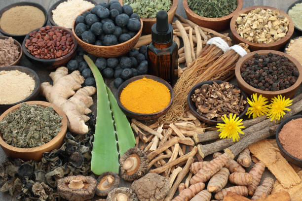 choix des aliments adaptogenic - ayurveda herb alternative medicine herbal medicine photos et images de collection