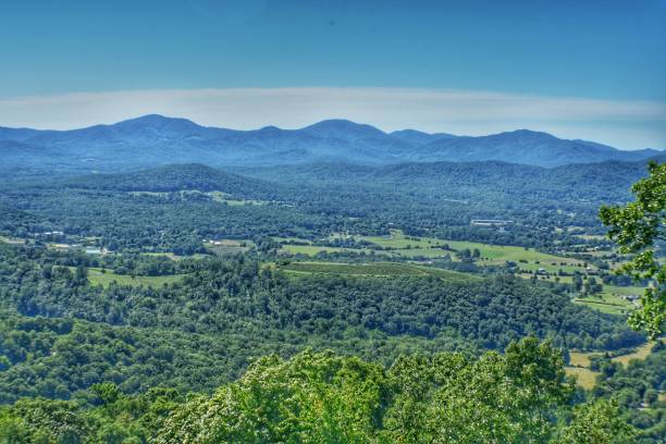 istock Tree tops with mountain background, Afton Virginia 1055623980