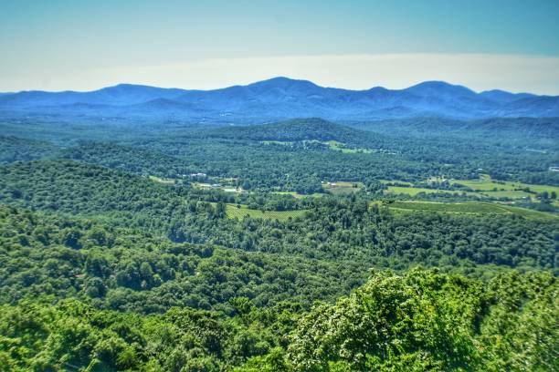 tree tops con montaña, valle y campos, fton virginia - treelined tree shenandoah river valley blue ridge mountains fotografías e imágenes de stock