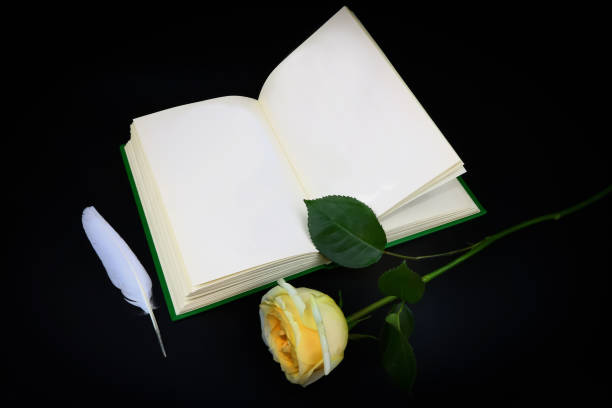 istock yellow rose, white feather and old book 1055625668
