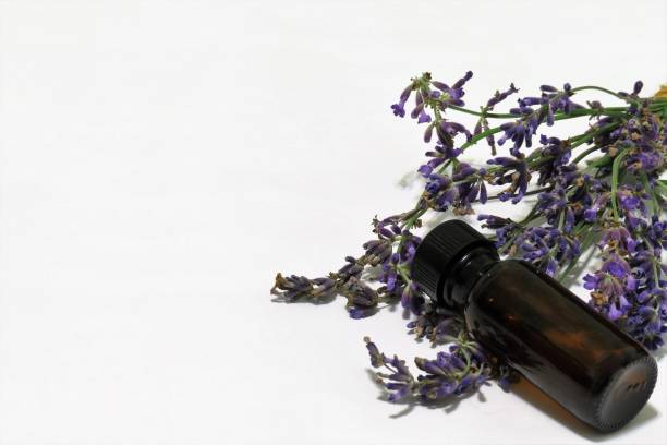 istock Lavender and essential oil bottle on background 1055625686
