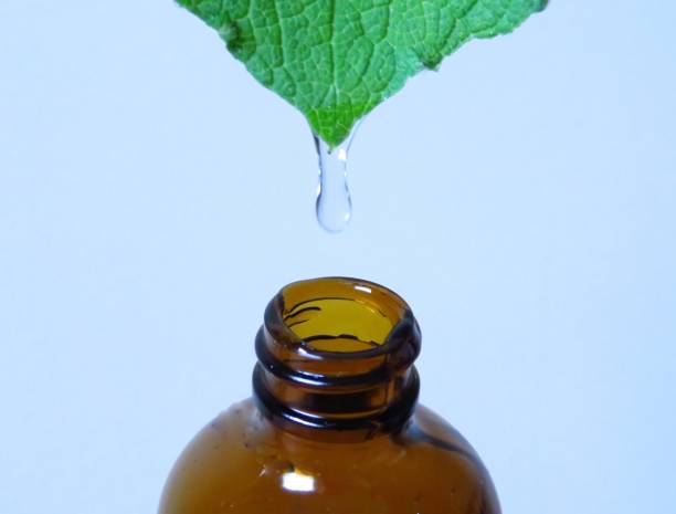 istock Essential oil from leaf to bottle 1055625722