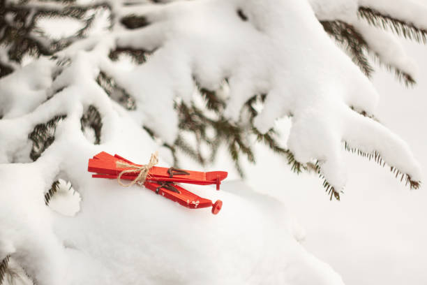 Christmas decorating on fir tree with toy, tree branches, outdoors green background, natural winter background