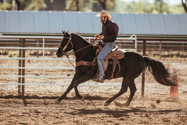 istock Cowboy with furious horse on ranch 1055628340