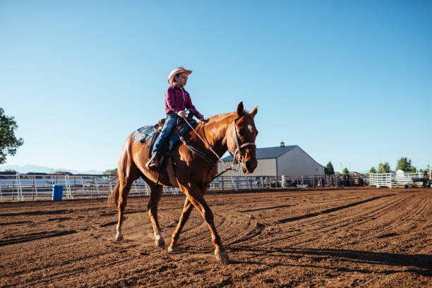 horseback riding school for kids in usa - teaching child horseback riding horse imagens e fotografias de stock