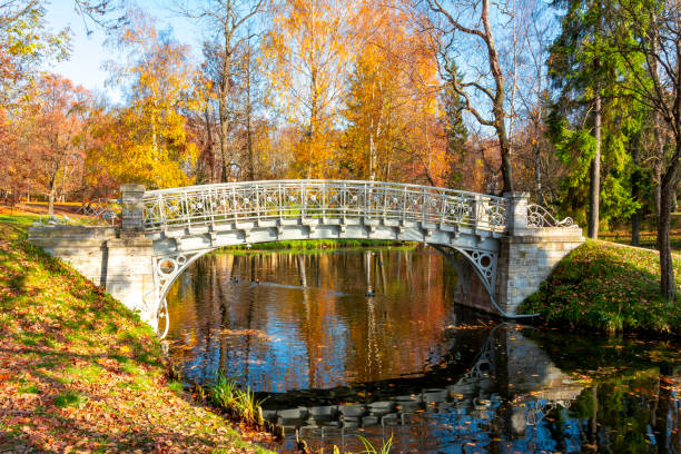 istock Gatchina park in autumn foliage, Russia 1055630246